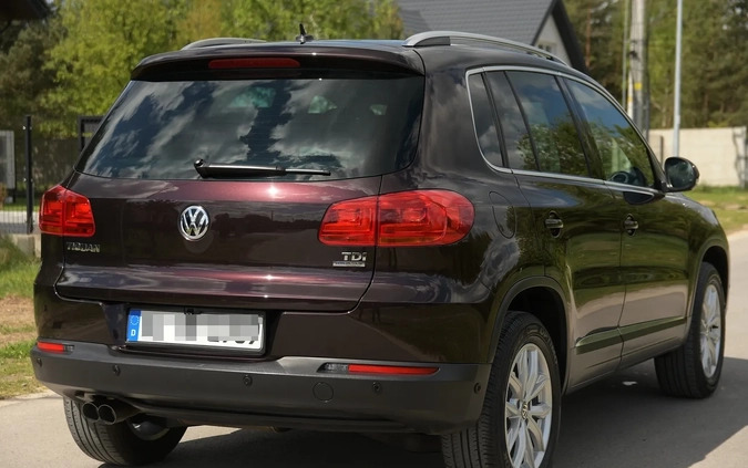Volkswagen Tiguan cena 59900 przebieg: 182000, rok produkcji 2013 z Lubomierz małe 704